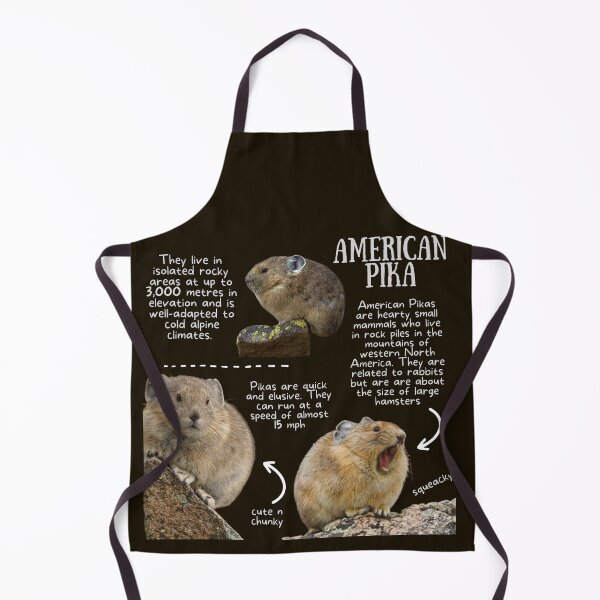 Item preview, American Pika Fun Fact designed and sold by KyleNesas.