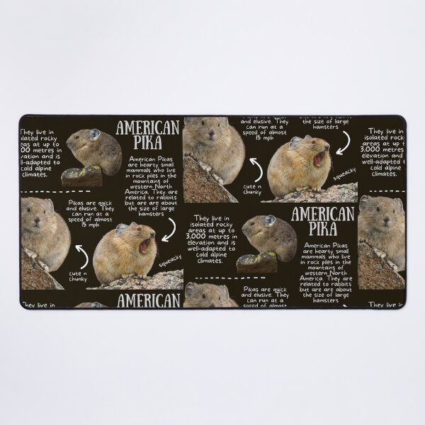 Item preview, American Pika Fun Fact designed and sold by KyleNesas.