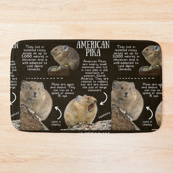 Item preview, American Pika Fun Fact designed and sold by KyleNesas.