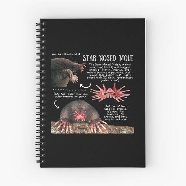 Item preview, Star-nosed Mole Fun Fact designed and sold by KyleNesas.