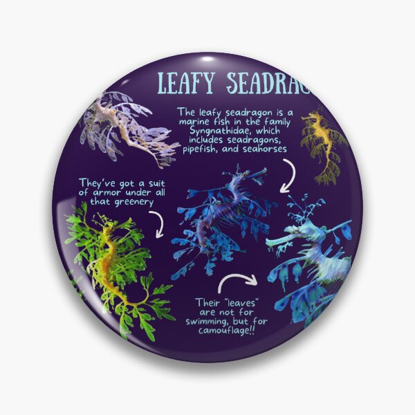Item preview, Leafy Seadragon Fun Fact designed and sold by KyleNesas.