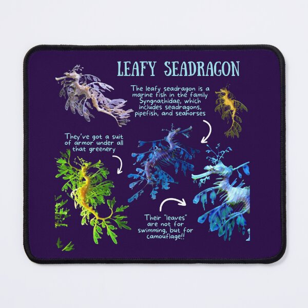 Item preview, Leafy Seadragon Fun Fact designed and sold by KyleNesas.