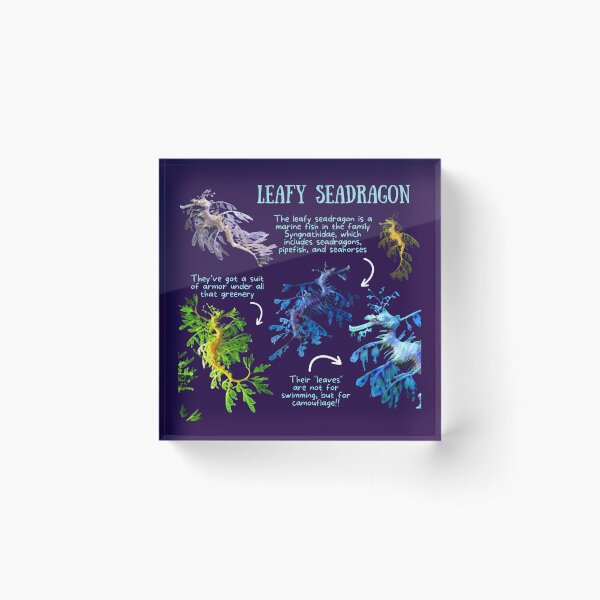 Item preview, Leafy Seadragon Fun Fact designed and sold by KyleNesas.