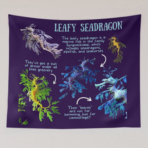 Item preview, Leafy Seadragon Fun Fact designed and sold by KyleNesas.