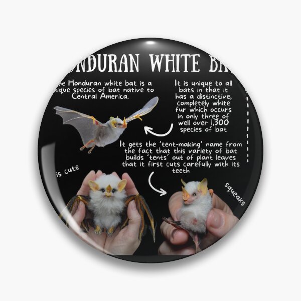 Item preview, Honduran White Bats Fun Fact designed and sold by KyleNesas.