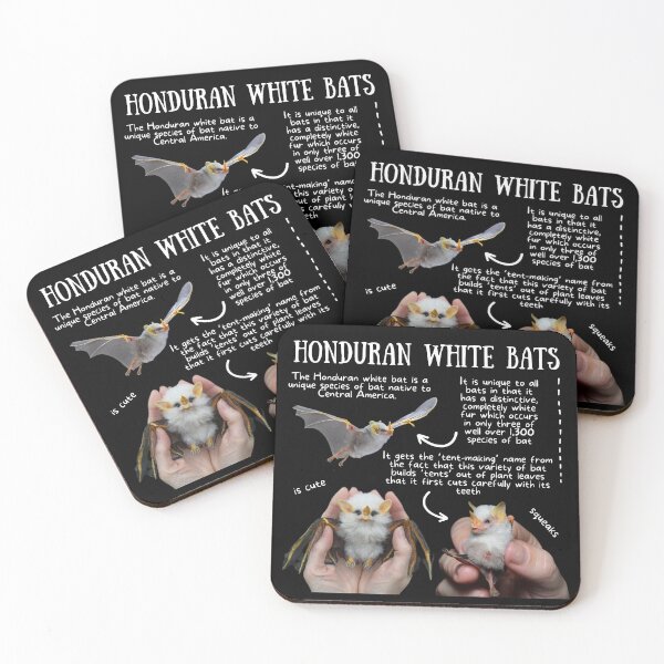 Item preview, Honduran White Bats Fun Fact designed and sold by KyleNesas.