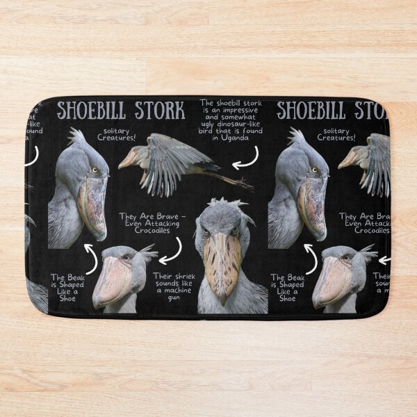 Item preview, Shoebill Stork Fun Fact designed and sold by KyleNesas.