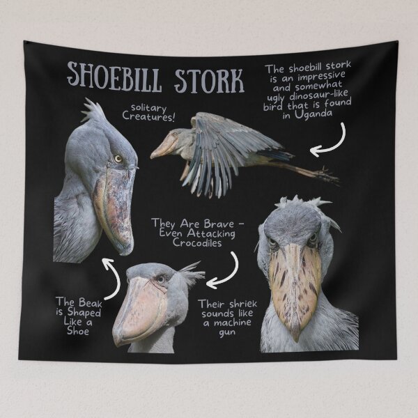 Item preview, Shoebill Stork Fun Fact designed and sold by KyleNesas.