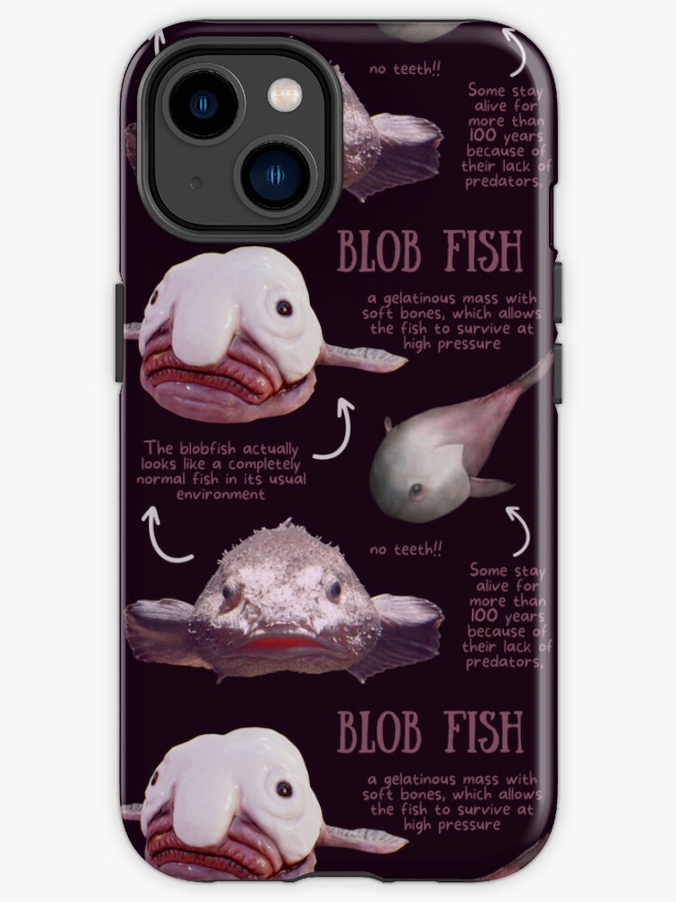 Blob Fish Fun Fact Magnet for Sale by KyleNesas