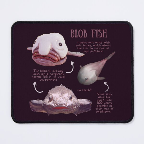 Item preview, Blob Fish Fun Fact designed and sold by KyleNesas.