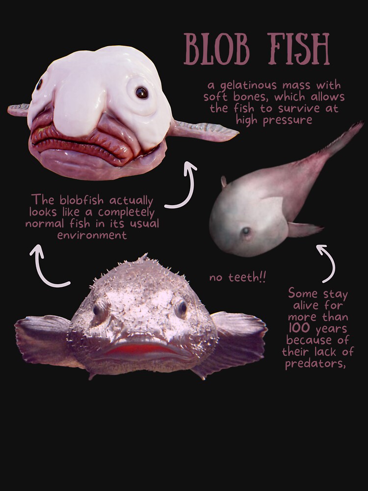 14 Blobfish Facts for Kids