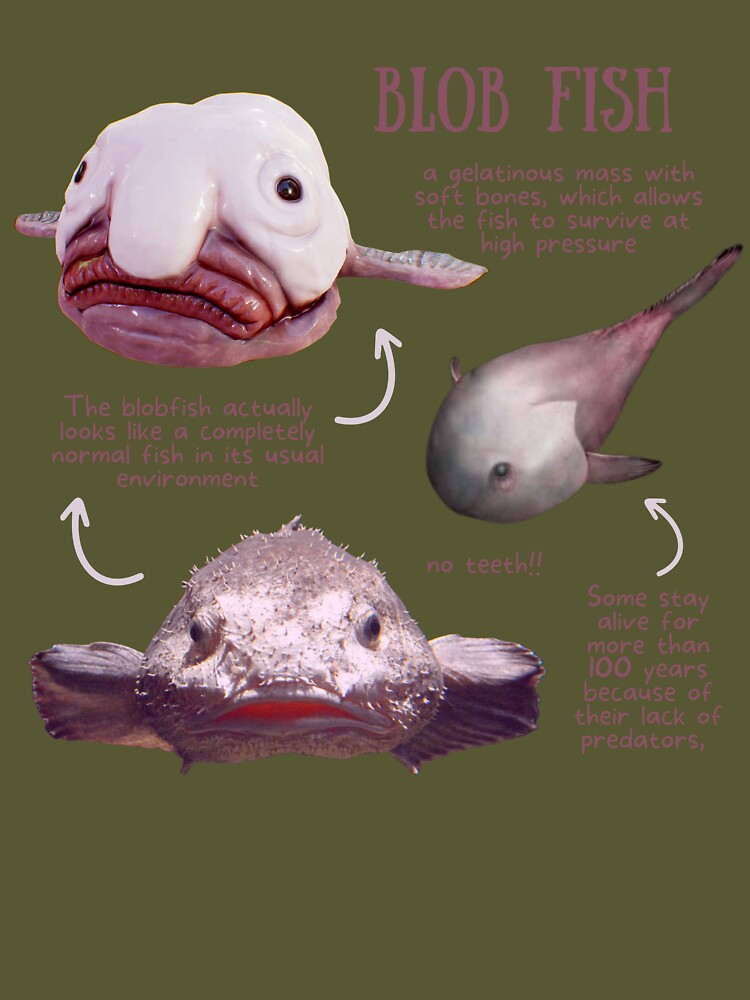 Blob Fish Fun Fact Poster for Sale by KyleNesas