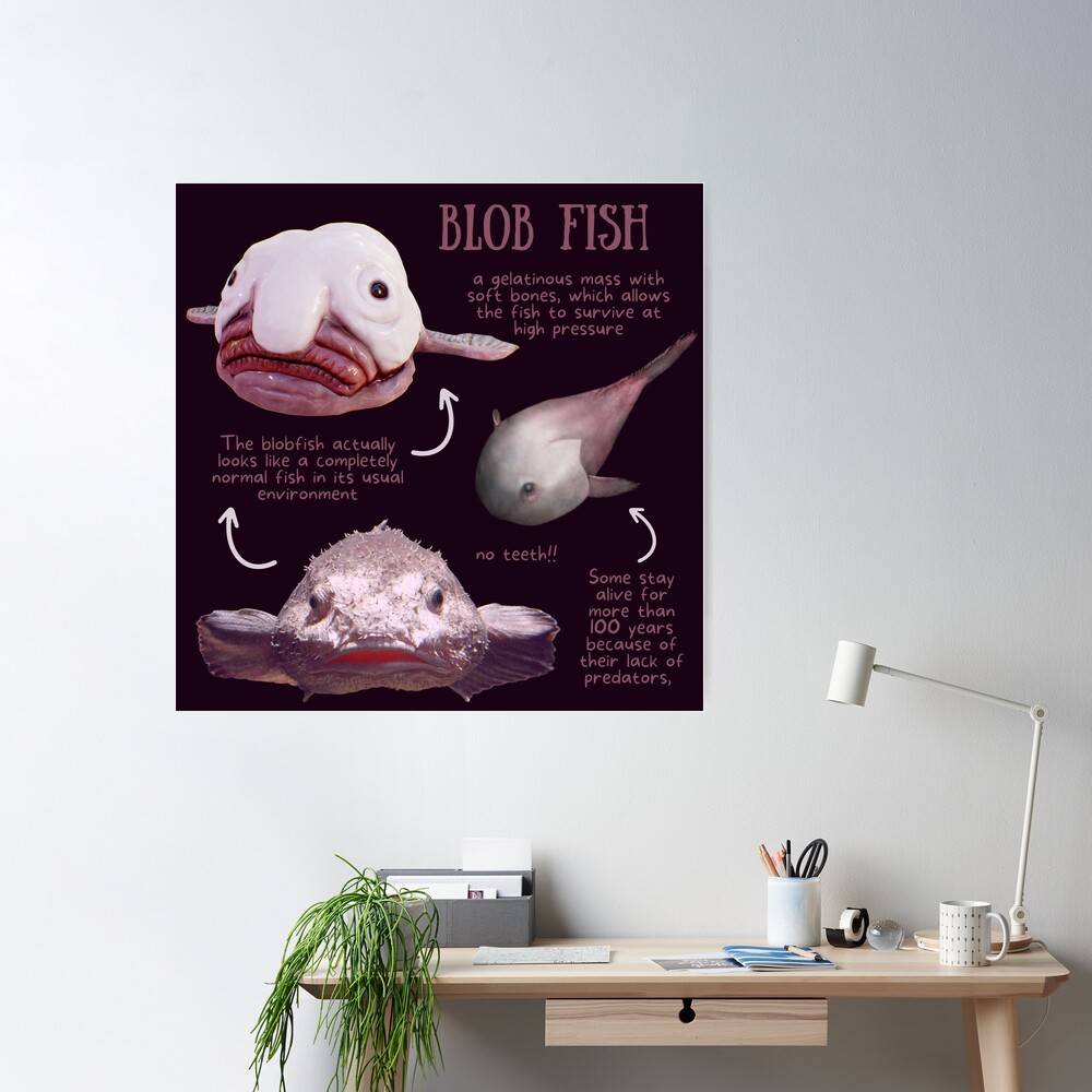 Blob Fish Fun Fact Poster for Sale by KyleNesas