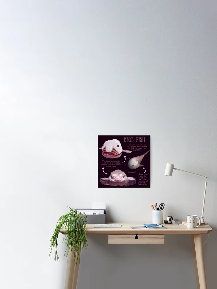 Blob Fish Fun Fact Poster for Sale by KyleNesas