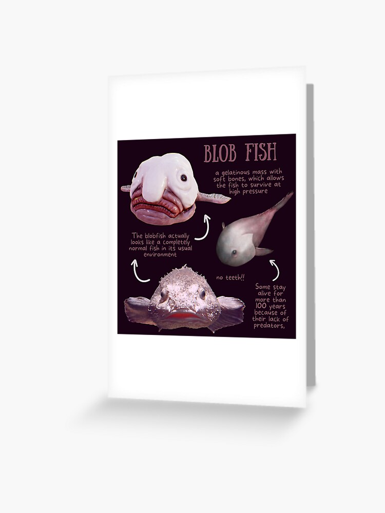 Blob Fish | Greeting Card