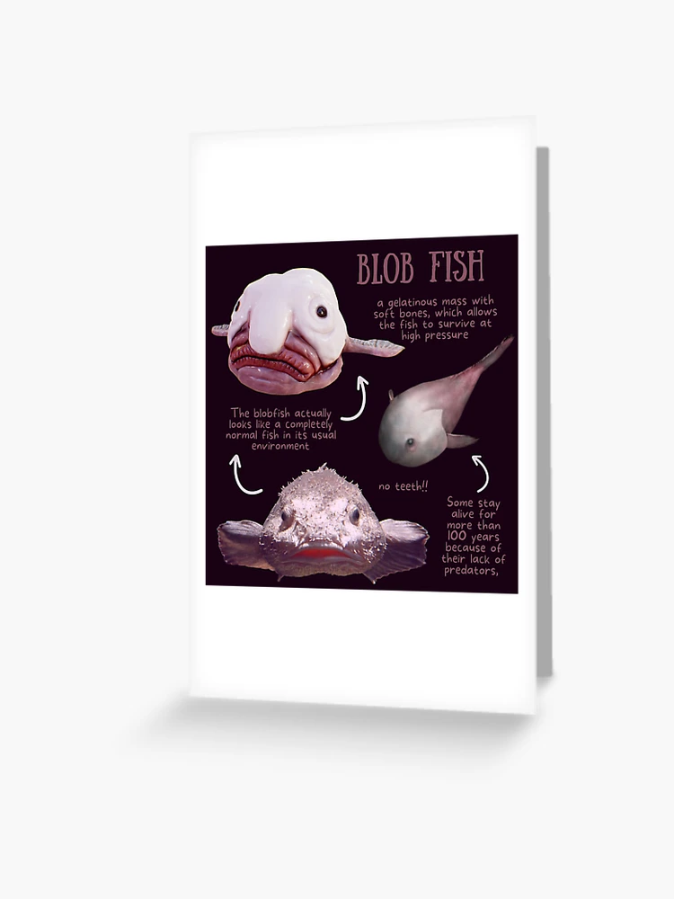 Blob Fish Fun Fact Magnet for Sale by KyleNesas