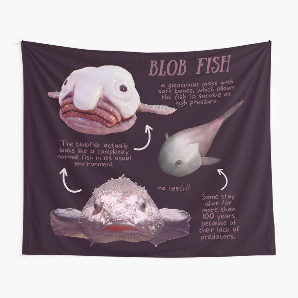 Blob Fish Fun Fact Tapestry for Sale by KyleNesas