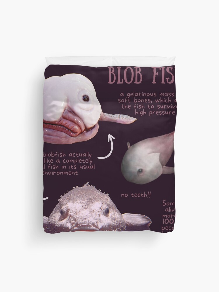 Blob Fish Fun Fact Poster for Sale by KyleNesas