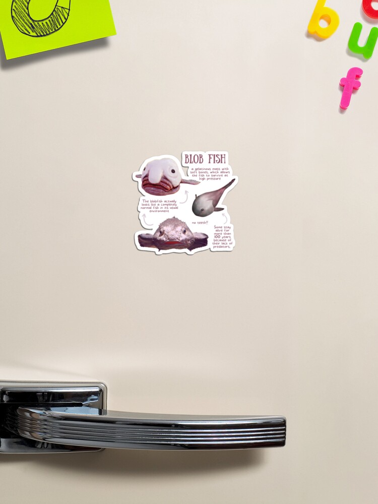 Blob Fish Fun Fact Magnet for Sale by KyleNesas