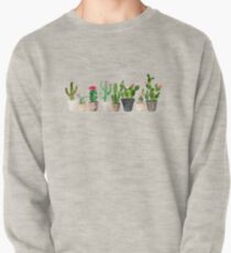 Cactus Pullover