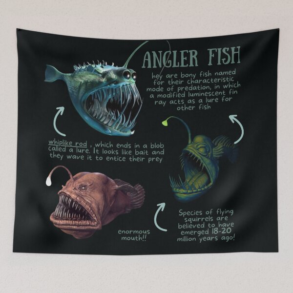 Item preview, Angler Fish Fun Fact designed and sold by KyleNesas.