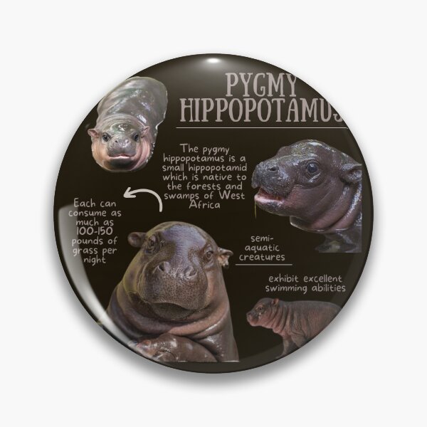 Item preview, Pygmy Hippopotamus Fun Fact designed and sold by KyleNesas.