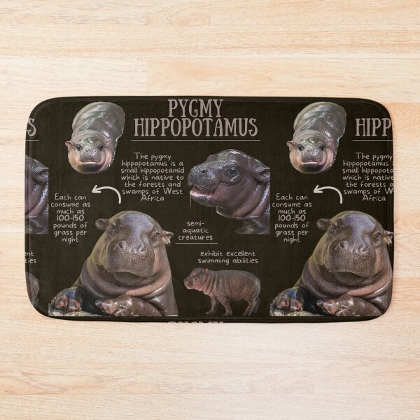 Item preview, Pygmy Hippopotamus Fun Fact designed and sold by KyleNesas.