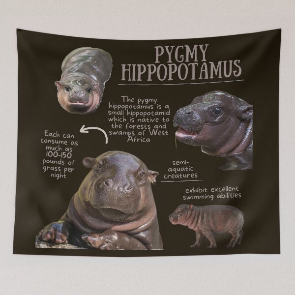 Item preview, Pygmy Hippopotamus Fun Fact designed and sold by KyleNesas.