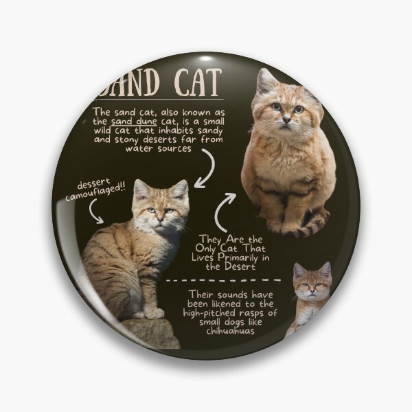 Item preview, Sand Cat Fun Fact designed and sold by KyleNesas.