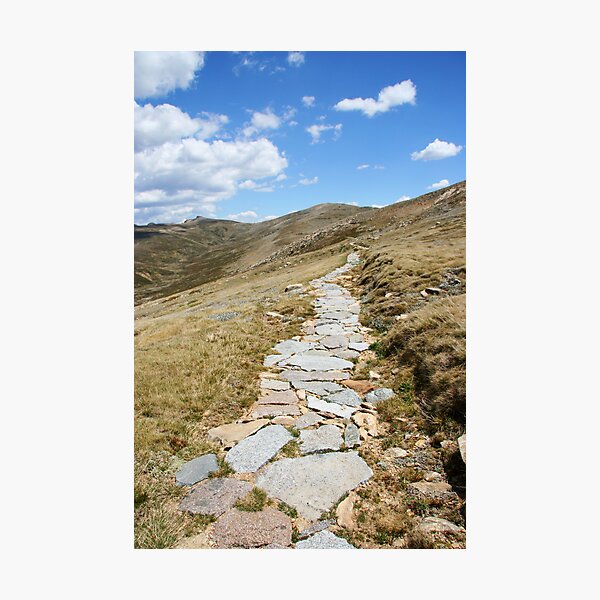 Aperçu de l'œuvre Mountain path créée et vendue par MagnusAgren.