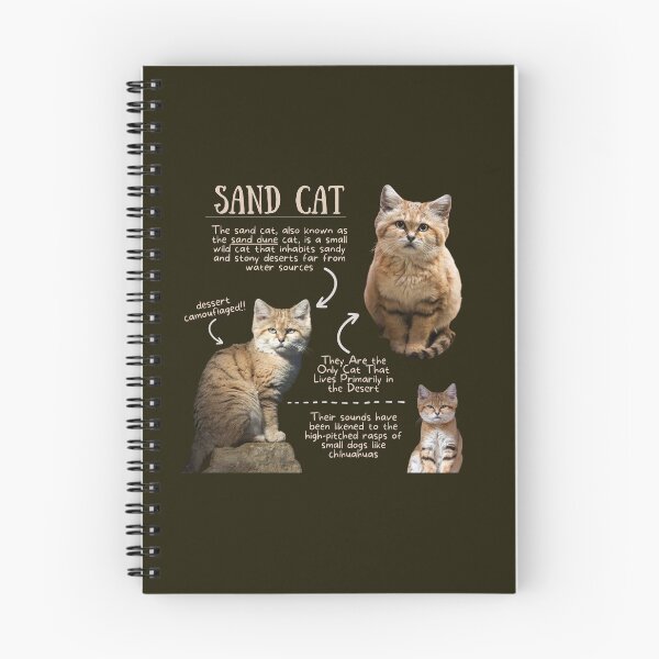 Item preview, Sand Cat Fun Fact designed and sold by KyleNesas.