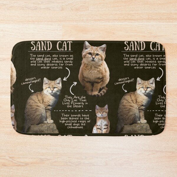Item preview, Sand Cat Fun Fact designed and sold by KyleNesas.