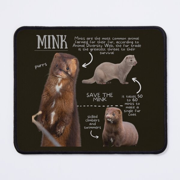 Item preview, Mink Fun Fact designed and sold by KyleNesas.
