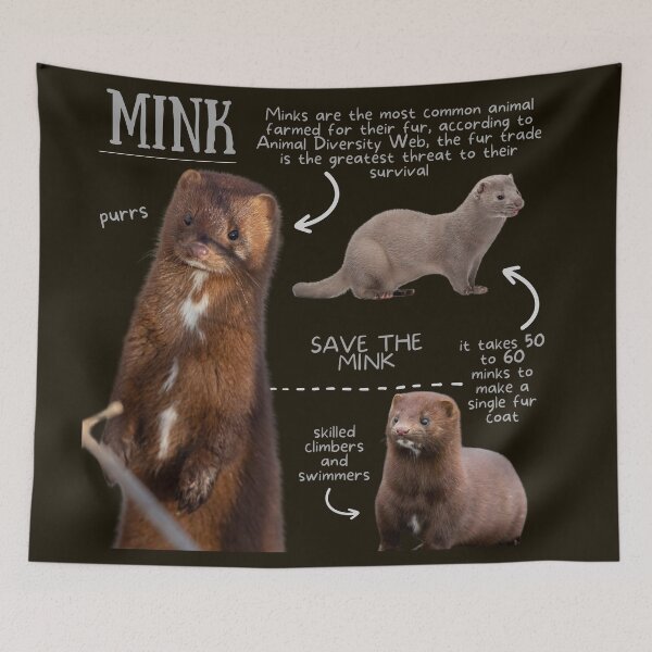 Item preview, Mink Fun Fact designed and sold by KyleNesas.
