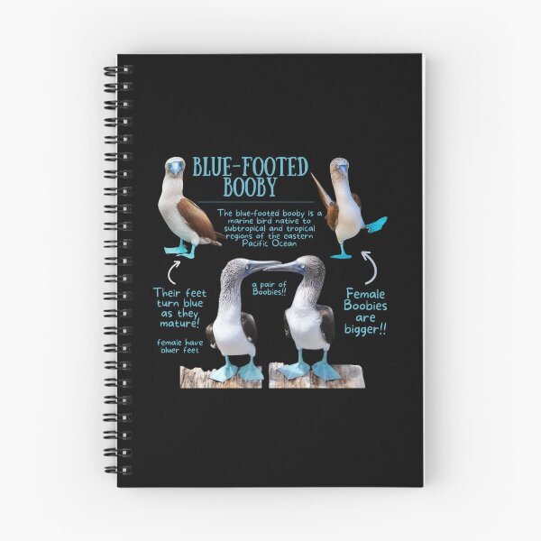 Item preview, Blue-footed Booby Fun Fact designed and sold by KyleNesas.
