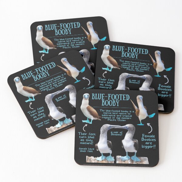 Item preview, Blue-footed Booby Fun Fact designed and sold by KyleNesas.