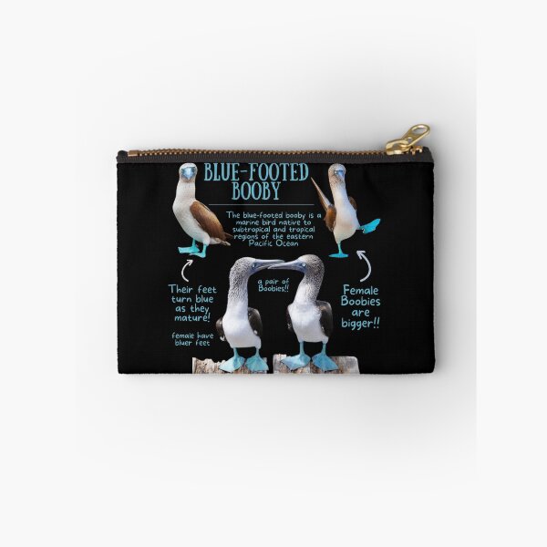 Item preview, Blue-footed Booby Fun Fact designed and sold by KyleNesas.