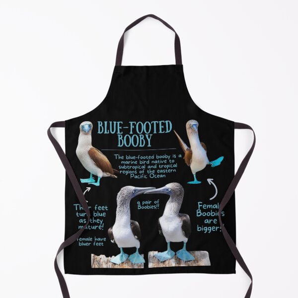 Item preview, Blue-footed Booby Fun Fact designed and sold by KyleNesas.