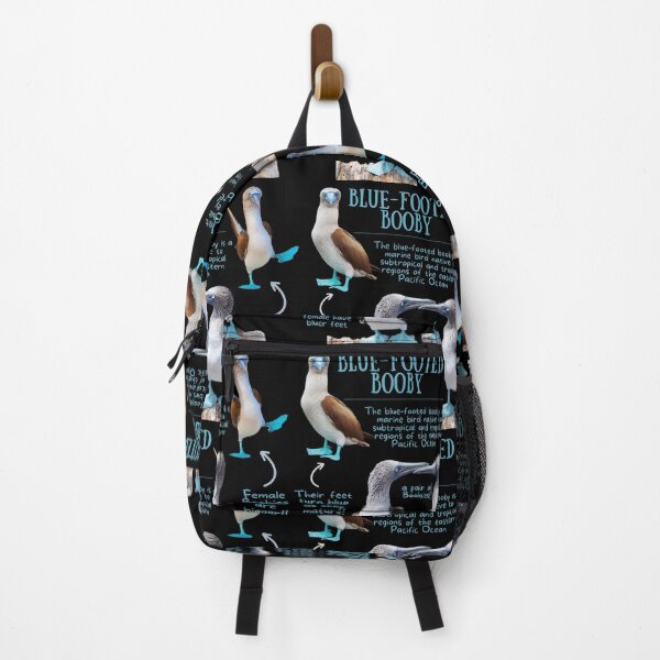 Item preview, Blue-footed Booby Fun Fact designed and sold by KyleNesas.