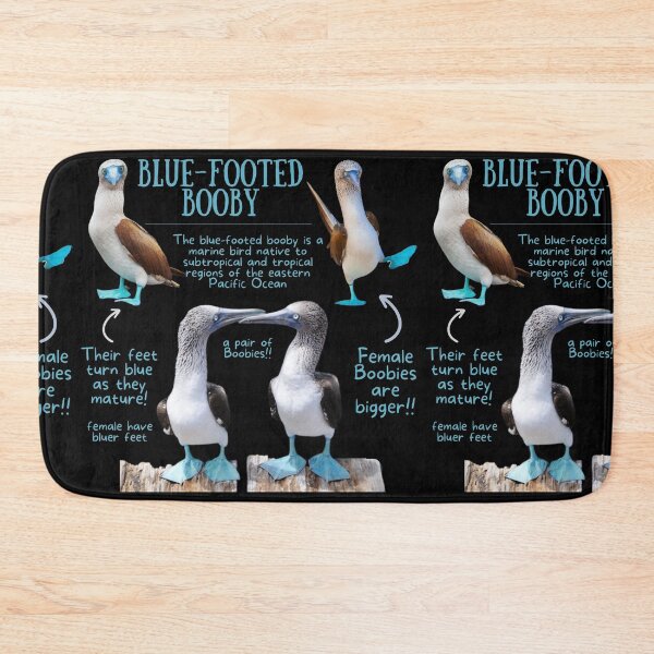 Item preview, Blue-footed Booby Fun Fact designed and sold by KyleNesas.