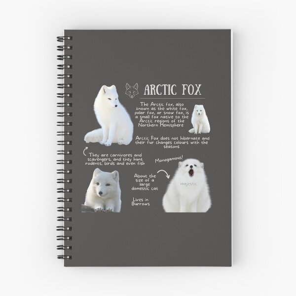 Item preview, Arctic Fox Fun Fact designed and sold by KyleNesas.
