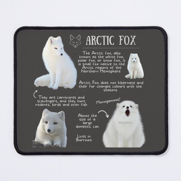 Item preview, Arctic Fox Fun Fact designed and sold by KyleNesas.