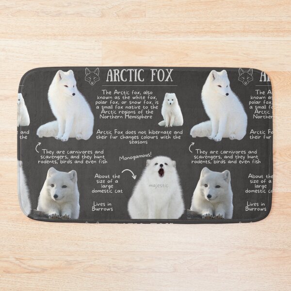 Item preview, Arctic Fox Fun Fact designed and sold by KyleNesas.