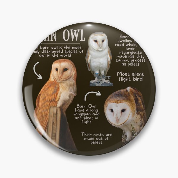 Item preview, Barn Owl Fun Fact designed and sold by KyleNesas.