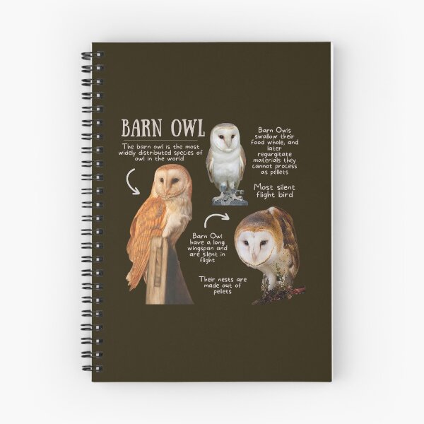 Item preview, Barn Owl Fun Fact designed and sold by KyleNesas.