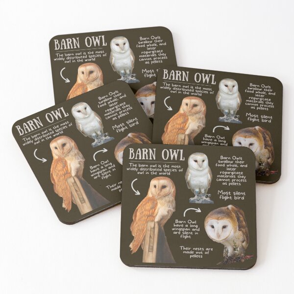 Item preview, Barn Owl Fun Fact designed and sold by KyleNesas.