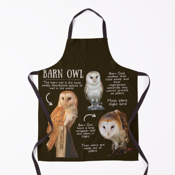 Item preview, Barn Owl Fun Fact designed and sold by KyleNesas.