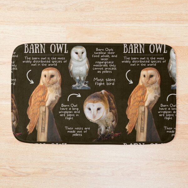 Item preview, Barn Owl Fun Fact designed and sold by KyleNesas.