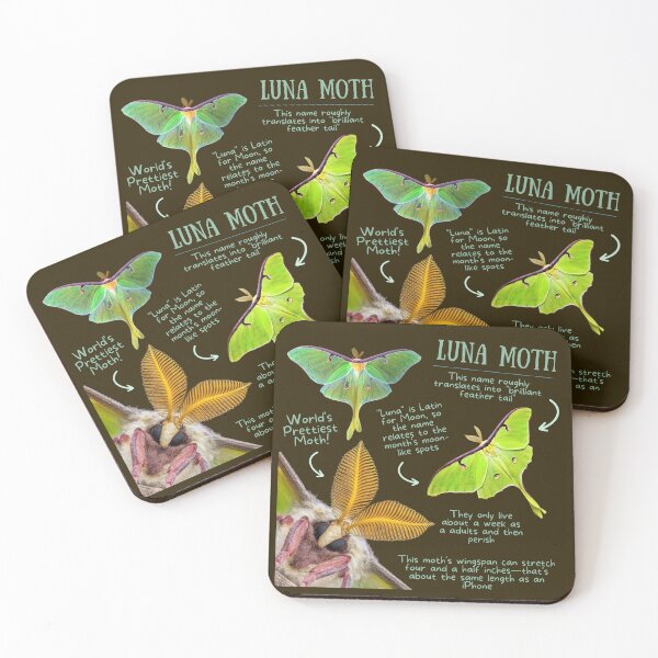 Item preview, Luna Moth Fun Fact designed and sold by KyleNesas.
