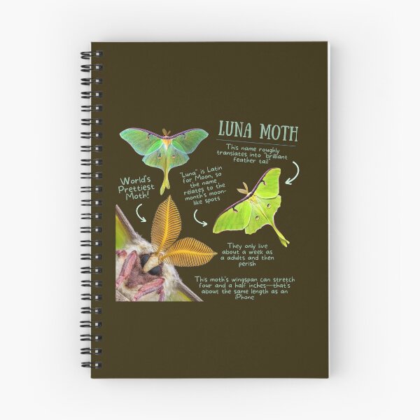 Item preview, Luna Moth Fun Fact designed and sold by KyleNesas.